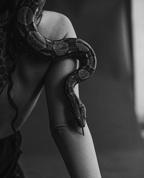 Snake Photoshoot, Snake Photography, Snake Photos, Mode Editorials, Snake Girl, Snake Charmer, Snake Art, Affordable Swimwear, Dark Feminine Aesthetic