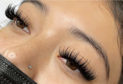 Eyelash Growth Cycle, Eyelashes Drawing, Lash Ideas, Lash Maps, Eyelashes Tutorial, Lash Mapping, Lash Extentions, Lash Extensions Styles, Perfect Eyelashes