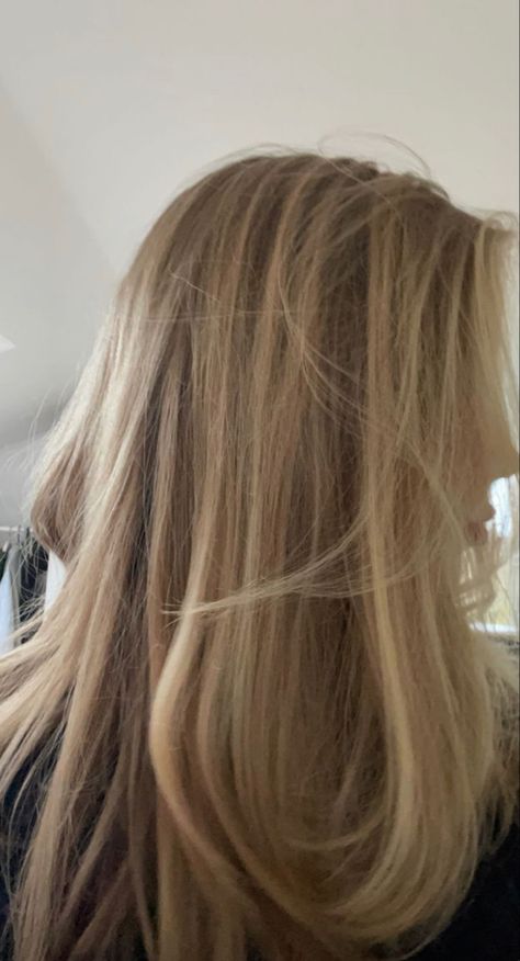 Subtle Balayage Blond, Dark Blonde Beach Hair, Soft Dirty Blonde Hair, Highlight Dirty Blonde Hair, Dirty Blonde Hair With Highlights Short, Dark Blonde Long Bob, Blonde To Dark Blonde, Short Dirty Blonde Hair, Dark Sandy Blonde Hair