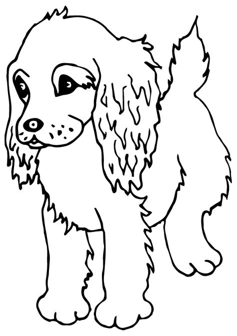 Click SHARE THIS STORY ON FACEBOOK Boykin Spaniel Puppies, Pets Coloring Pages, Lineart Coloring, Animal Print Quilt, Kids Colouring Pages, Happy Birthday Coloring Pages, Brown Dogs, Drawing Pages, Animal Coloring Book