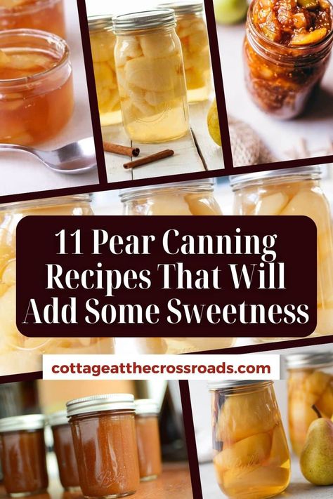 11 Pear Canning Recipes That Will Add Some Sweetness pinterest image. Pear Curd Recipe, Pear Canning, Pear Perserves Recipes, Pear Salsa Recipes, Pear Canning Recipes, Canned Pears Recipes, Pear Recipes For Canning, Pear Pie Filling, Pickled Pears