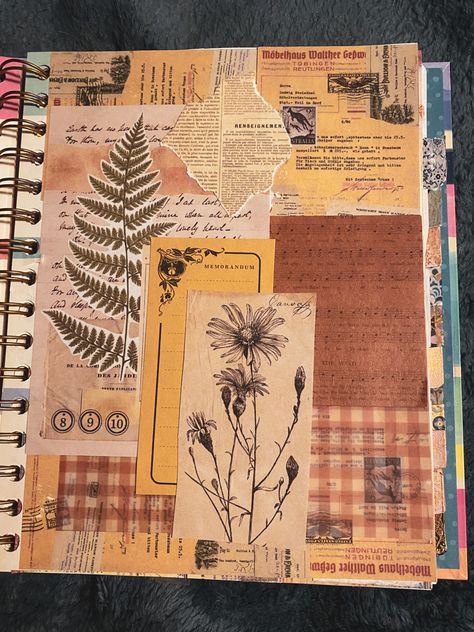 A page from my junk journal inspired by the 70s and nature. #faeriecore #junkjournaljunkies #crafting #naturecore #cottagecoreaesthetic #scrapbooking #scrapbookpage #scrapbooking Vintage Scrapbook Ideas Aesthetic, Nature Zine Design, Nature Junk Journal Ideas, Nature Journal Aesthetic, Vintage Junk Journal Page Ideas, Vintage Junk Journal Pages Ideas Layout, 70s Scrapbook, Junk Journal Spread, Pretty Journals Covers