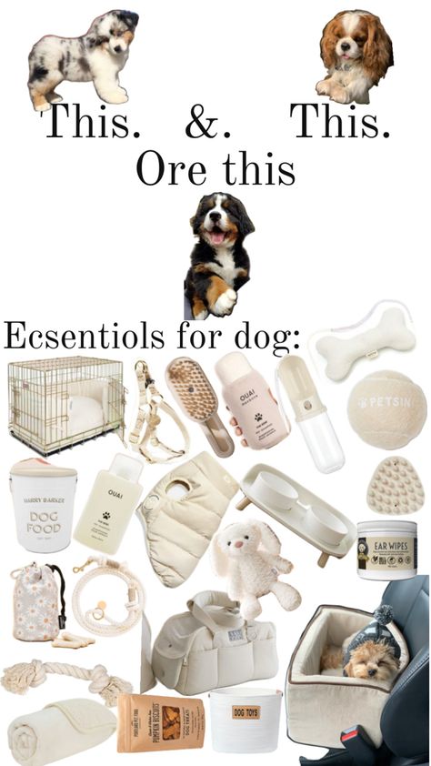 Accessories for dog that tou pick Dog Essentials Products, Dog Supplies List, New Puppy Checklist, Puppy Checklist, Dog Storage, Dog Equipment, Pet Organization, Puppy Accessories, Mini Toys