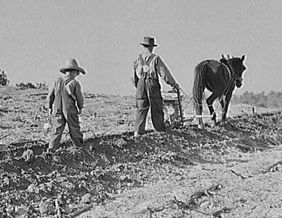 A farmer plows a field and his son plants seeds, Carroll County, Georgia, 1930s or 1940s Texas Western, Marfa Texas, Texas Photo, Chuck Wagon, Western Life, Fine Art Giclee Prints, Texas History, Cowboy Art, Rural Life