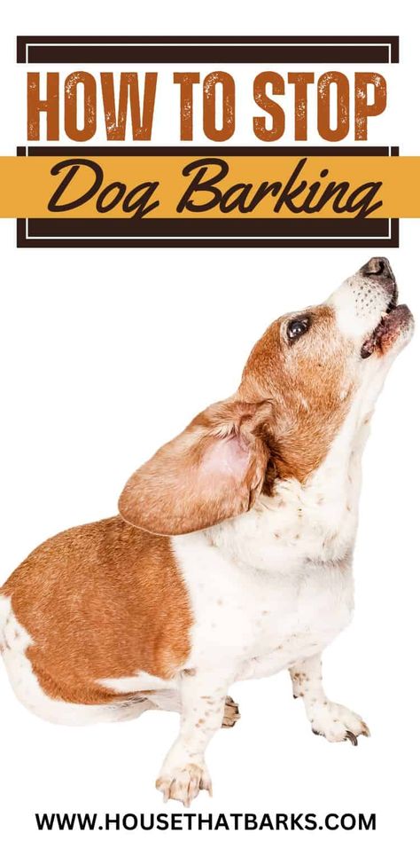 Struggling with a barking dog? Check out our tips on how to stop dog barking. Whether it's for training or peace and quiet at home, this blog post has got you covered. #dogbarking, #stopdogbarking, #dogtraining, #dogs Frozen Dog Treats, Stop Dog Barking, Barking Dog, Dog Biscuit Recipes, Frozen Dog, Love My Sister, Dog Training Techniques, Mini Goldendoodle, Peace And Quiet