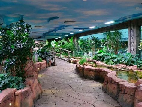 Reptile House Ideas, Planet Zoo Reptile House, Reptile House Zoos, Planet Zoo Exhibit, Planet Zoo Entrance Ideas, Zoo Exhibit Design, Planet Zoo Habitat Ideas, Planet Zoo Inspiration, Zoo Building