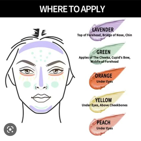 Colour Correcting Makeup, Yellow Concealer, The Tarot Cards, Makeup Charts, Makeup Order, Makeup Brushes Guide, Learn Makeup, Beginners Eye Makeup, Simple Makeup Tips