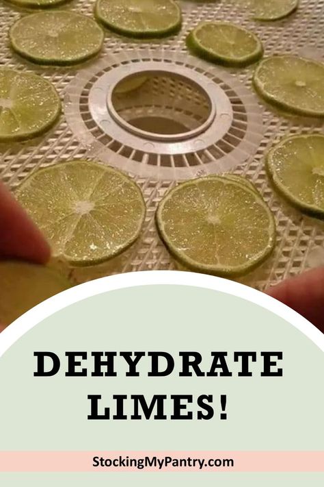 Dehydrate limes with our beginner's guide. Dehydrate Lemons, Dehydrated Limes, Lime Uses, Dehydrating Food, Environmentally Friendly Living, Lime Recipes, Food Dehydrator, Slice Of Lime, Fruit Leather