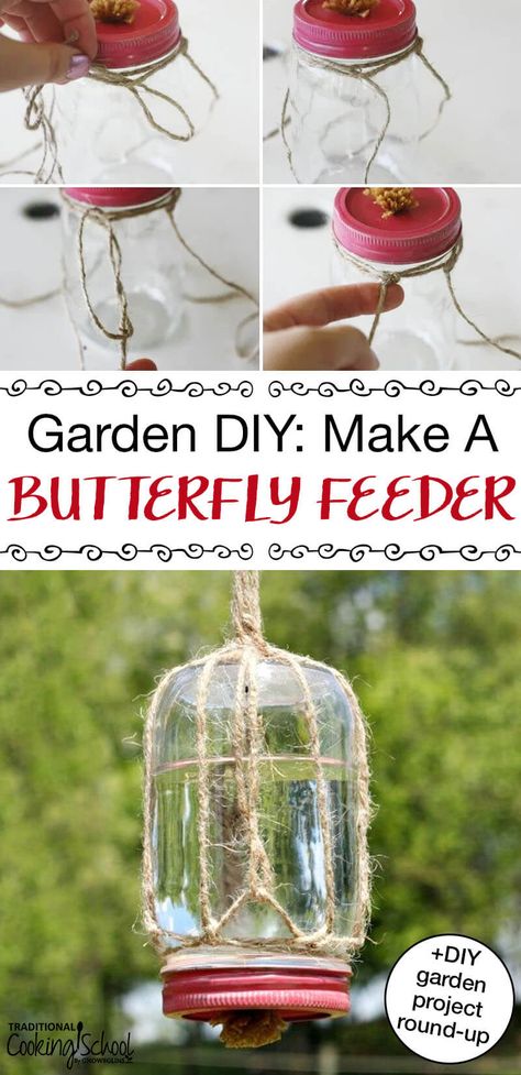 Butterfly Food, Butterfly Feeders, Butterfly Feeder, Diy Butterfly, Garden Crafts Diy, Diy Birds, Humming Bird Feeders, Diy Garden Projects, Garden Designs