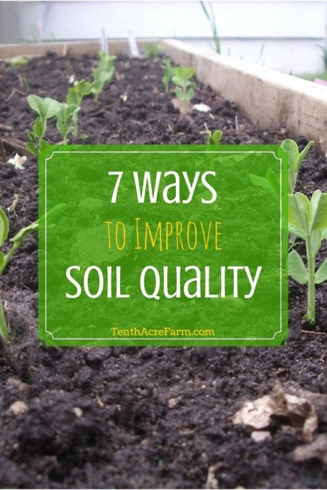 7 Ways to Improve Soil Quality: Many of us inherit gardens and yards that consist of lifeless or hardpan soil unfit for growing edibles. Good quality soil is essential for an abundant garden and reducing the incidence of pests. While there are many ways to improve soil quality for the purpose of growing food, these are the seven methods that have been the most successful for me.: Garden Soil Preparation, Lasagna Gardening, Compost Soil, Improve Soil Quality, Garden Compost, Garden Shrubs, Organic Soil, Healthy Garden, Soil Improvement