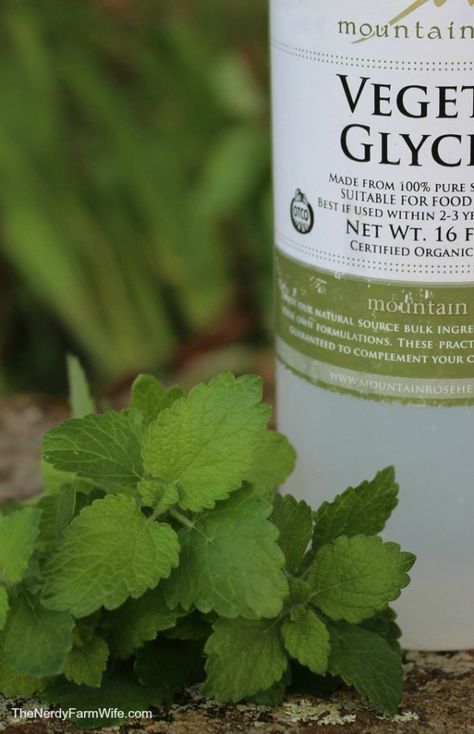 Lemon Balm Glycerite Cold Sore Lip, Lemon Balm Uses, Lemon Balm Tincture, Bug Bites Remedies, Bug Spray Recipe, Herbal Salves, Herb Gardening, Useful Things, Herbal Apothecary