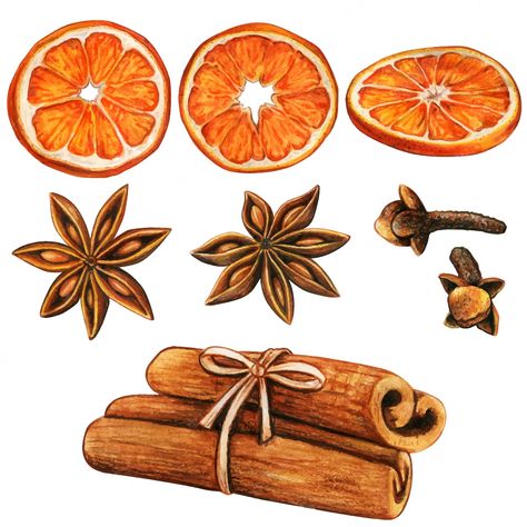 Premium Vector | Watercolor high quality winter spices and orange slices Orange Clove, Recipes Book, Christmas Spices, Desain Editorial, Watercolor Christmas, Christmas Illustration, Christmas Watercolor, Food Illustrations, Book Illustration