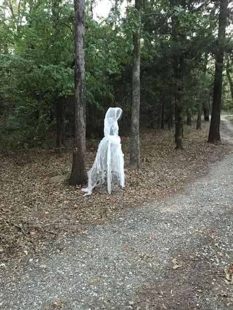 Chicken Wire Ghosts Diy, Halloween Do It Yourself, Yard Ghosts, Chicken Wire Ghost, Wire Ghosts, Haunted Hayride, Ghost Diy, Diy Chicken, Halloween Window