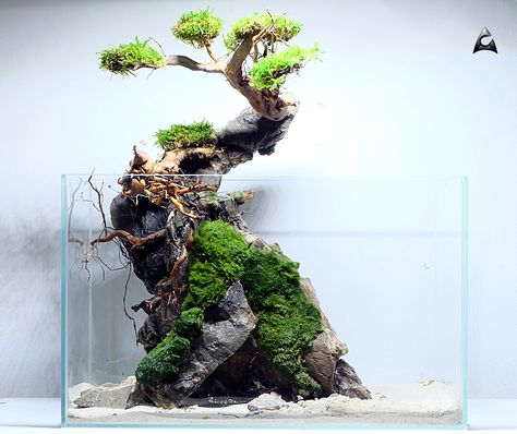 Interior Design Tall Aquarium, Driftwood Planters, Aquarium Garden, Fish Tank Terrarium, Aquascape Design, Fish Tank Design, Betta Aquarium, Indoor Water Garden, Nano Aquarium