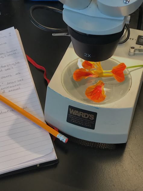 Orange Science Aesthetic, Environment Science Aesthetic, Microscopy Aesthetic, Plant Science Aesthetic, Geneticist Aesthetic, Microscope Aesthetic, Environmental Science Aesthetic, Biotechnology Aesthetic, The Love Hypothesis Ali Hazelwood