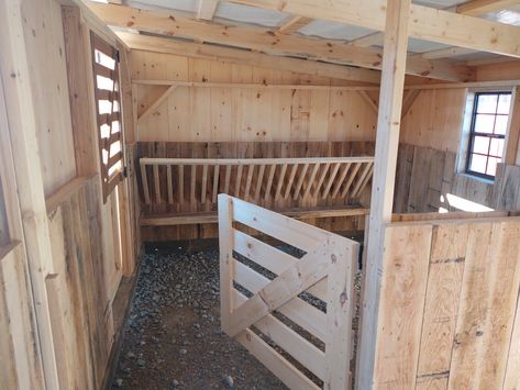 Goat Shed Plans, Goat And Chicken Barn Layout, Chicken And Goat Barn, Small Goat Barn Ideas, Mini Goat Barn, Mini Barn Ideas, Mini Cow Barn, Goat Stalls In Barn, Small Livestock Barn