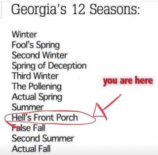 Georgia's 12 Seasons: Winter Fool’s Spring Second Winter Spring of Deception Third Winter The Pollening pl ll ““ Actual Spn'ng Summer “WA -Fa I Second Summer Actual Fall – popular memes on the site ifunny.co Texas Meme, Texas Winter, Texas Humor, Texas Weather, Storybook Wedding, Seasons Winter, Strong Marriage, Winter Is Here, Atlanta Wedding