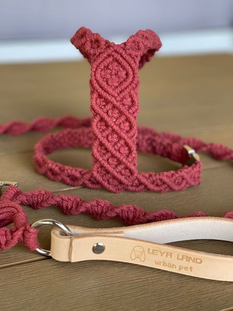 Macrame Dog Harness Diy, Macrame Dog Accessories, Macrame Dog Harness, Macrame Harness, Macrame Cat Collar, Macrame Dog Collar Diy, Macrame Pet Collar, Macrame Dog Leash, Macrame Pet