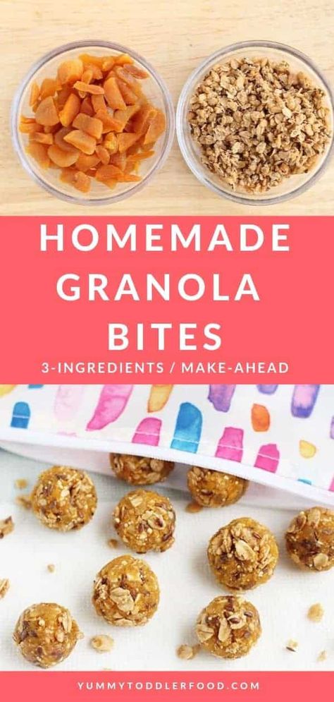 Easy Granola Bites (3-Ingredients, No-Bake!) Granola Bites No Bake, Crispy Granola, Nut Free Granola, Granola Bites, Healthy Snacks To Make, Easy Granola, Best Granola, Healthy Fiber, Snack For Kids