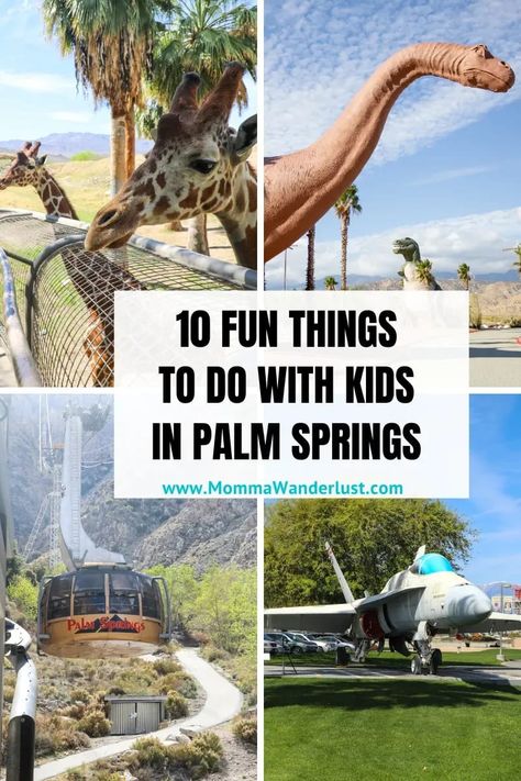 Springs Outfit, Palm Springs Decor, Place To Travel, Palm Desert California, Palm Springs Hotels, Slot Canyons, Spring Break Trips, Palm Spring, Things To Do With Kids