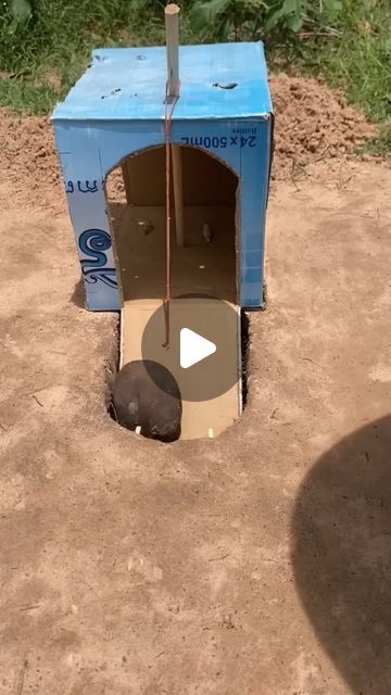 DIY Easy Birds Trap 🕳 on Instagram: "deep hole bird trap using cardboard box #shorts" Diy Animal Trap, Animal Traps How To Make, Bird Traps Diy How To Make, Deer Feeder Ideas, Skunk Trap, Fox Trap, Hornet Trap, How To Make Traps, Box Shorts