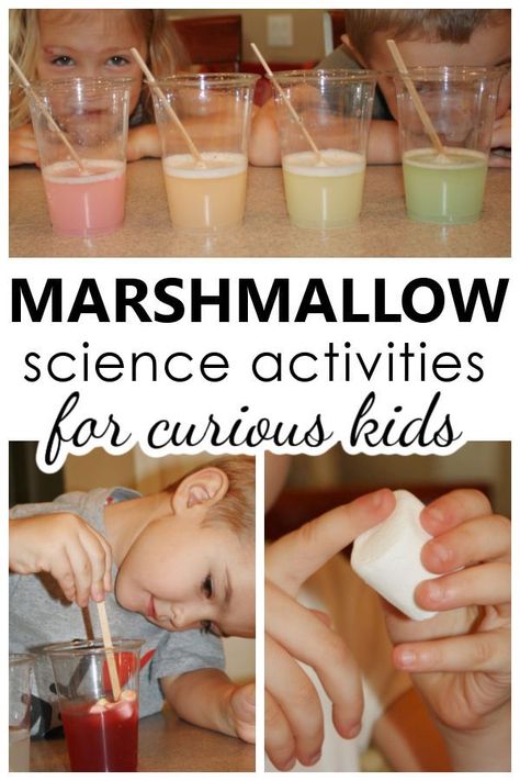 Marshmallow Science, Preschool Camping, Science Experience, Pre-k Science, Science Experiment For Kids, Experiment For Kids, Toddler Teacher, Simple Science, Kid Experiments