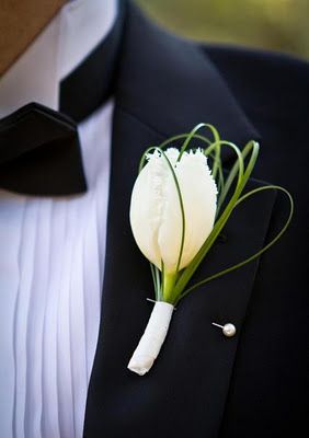 Reference for Boutonniere :groom and groomsmen Use either tulip or calla lilly and contrast greenery Tulip Wedding, Button Holes Wedding, Flower Guide, Tulip Bouquet, Boutonniere Wedding, White Tulips, Bride Bouquets, Groom And Groomsmen, Boutonniere