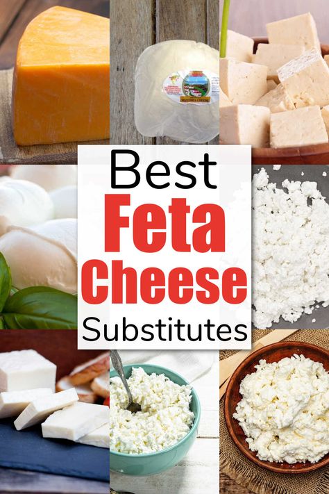 Feta Cheese Pizza, Mizithra Cheese, Four Cheese Pasta, Roquefort Cheese, Feta Cheese Recipes, Greek Cheese, Vegan Feta Cheese, Halloumi Salad, Cooking Substitutions