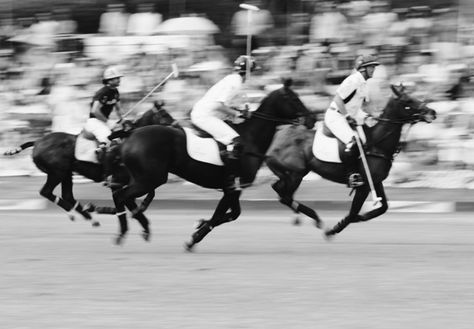 Veuve Clicquot Polo Classic Polo Photography, Polo Aesthetic, Horses Aesthetic, Ann Street Studio, Veuve Clicquot Polo Classic, Jamie Beck, Zsazsa Bellagio, Jockey Club, Sport Of Kings