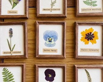 thewaysideviolet - Etsy Pressed Botanical Art, Dried Flowers Crafts, Spring Craft Ideas, Framed Leaves, Nature Ideas, Pressed Floral, Cozy Gifts, Flowers Pressed, Flower Frames