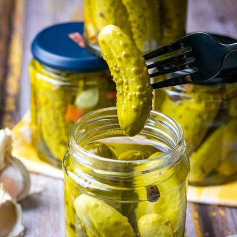 Homemade Sweet Gherkins (Canned Pickles) Homemade Tortilla Recipe, Homemade Pickles Dill, Salad Appetizer Cups, Dill Pickle Recipe, Pickled Cucumbers, Canning Pickles, Quick Pickled Cucumbers, Refrigerator Pickles, Beginner Meal Planning