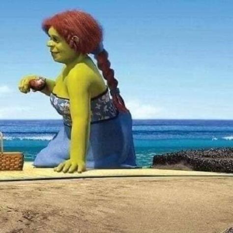 Shrek x Fiona Shrek