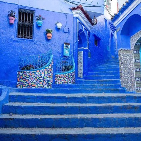 Chefchaouen Morocco: Enchanting hues of blue paint the streets of Chefchaouen, Morocco. 💙 Wandering through this picturesque town feels like stepping into a dream. #chefchaouen #Morocco #BlueCity #chaoun #Blue #moroccotravel#WanderlustMorocco#ExploreChefchaouen#MagicalMorocco#MoroccanBeauty#DiscoverChefchaouen#MoroccanVibes#BluePearl Chefchouan Morocco, Chefchaouen Morocco, Hues Of Blue, Morocco Travel, Blue City, Blue Paint, May 13, The Streets, A Dream