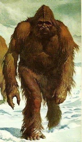 Bigfoot Pictures, Yeti Bigfoot, Bigfoot Art, Finding Bigfoot, Bigfoot Sightings, Mythical Monsters, Bigfoot Sasquatch, Loch Ness Monster, Extinct Animals