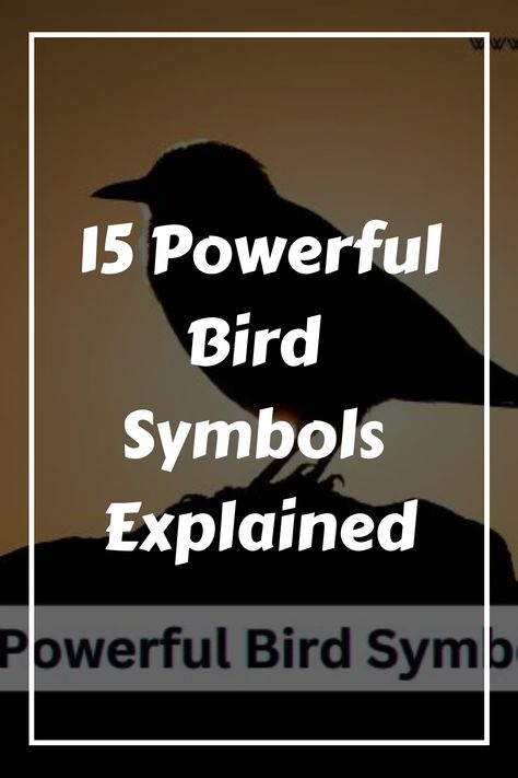 Silhouette of a bird against a dusk sky with text overlay "15 Powerful Bird Symbols Explained." Type Of Birds, Bird Bath Ideas, Bird Guide, Feather With Birds Tattoo, Bird Singing, Nature Enthusiast, Bird Feeding, Bird Tattoo, Bird Food