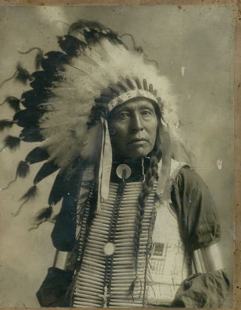 Indian Chief with Head Dress Chief Seattle, Native American Chief, Cherokee Indian, American Photo, Wilde Westen, Native American Photos, The Chiefs, Word Meaning, Native American Peoples