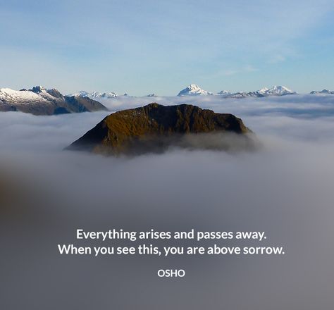 Everything arises and passes away. When you see this, you are above sorrow. OSHO #everything #arises #passes #away #when #see #this #above #sorrow #osho #quote Osho Quotes English, Ikeda Quotes, Osho Quotes On Life, Osho Quotes, Love Truths, Mr Wonderful, Education Humor, Life Rules, Life Philosophy