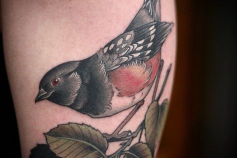 Spotted Towhee from Wonderland Tattoos in Portland. Wonderland Tattoo, Poppies Tattoo, Blue Poppy, Birds Tattoo, Arm Tattoo, Art Tattoo, Portland, Poppies, Tattoos