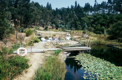 You can convert your chlorine pool to a natural swimming pool. It requires, in part, partitioning the pool into zones and retrofitting the filtration system. Learn more about this conversion process and how to implement it. Stock Tank Pool Diy, Swimming Pool Heaters, Swimming Pool Safety, Swimming Pool Maintenance, Natural Swimming Ponds, Swimming Pool Cleaning, Pool Enclosures, Stock Tank Pool, Tank Pool