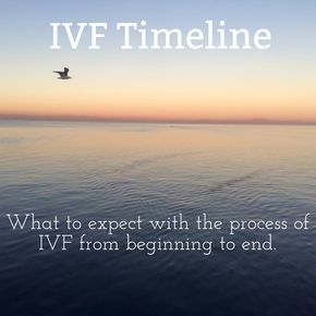 Ivf Process Step By Step, Ivf Timeline, Ivf Preparation, Ivf Egg Retrieval, Ivf Diet, Pregnancy Prep, Ivf Tips, Ivf Pregnancy Announcement, Baby Dust