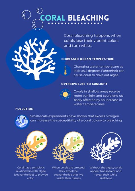 Coral Bleaching Poster, Learn Science, Coral Bleaching, Nature Museum, Fish Tanks, Learning Science, Marine Biology, Aquarium Fish Tank, Aquarium Fish