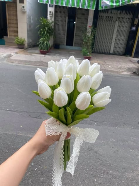 White Tulips, Tulips, Lace, Flowers, Green, White, Beauty