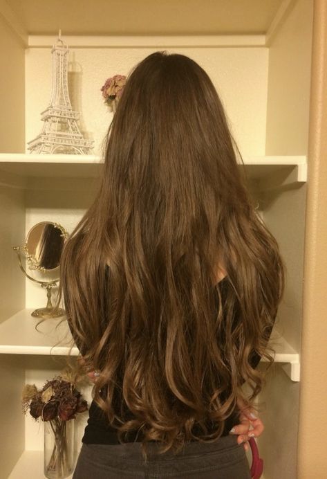 Long Chestnut Hair, Really Long Hair Aesthetic, Long Brunette Hair Aesthetic, Brown Hair On Latinas, Long Princess Hair, Long Brown Hair Natural, Brown Long Hair Aesthetic, Long Brown Hair Aesthetic, Long Chocolate Brown Hair