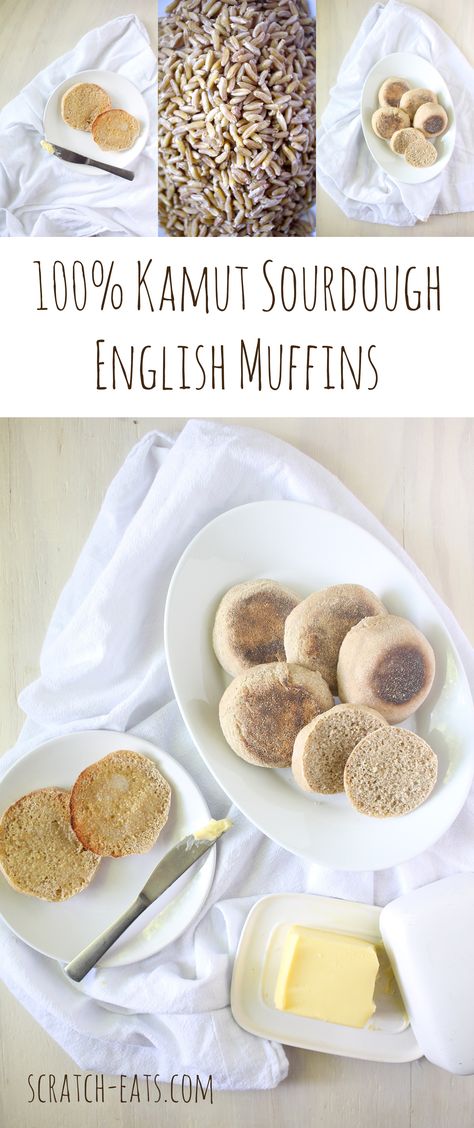 Kamut Flour Recipes, Kamut Sourdough Bread, English Muffin Sourdough Recipe, Kamut Sourdough, Gluten Free Sourdough English Muffins, Homemade Sourdough English Muffins, Kamut Recipes, Azeely Sourdough English Muffins, Fermentation Station