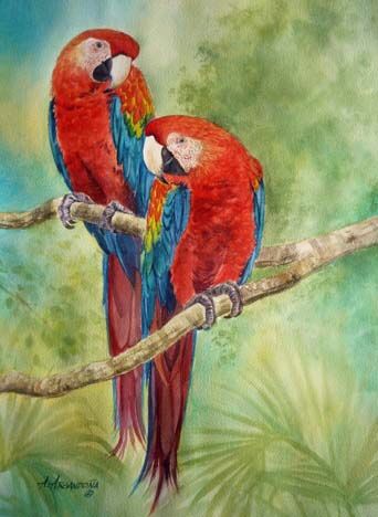 Augusto Argandona | WATERCOLOR | Macaw Pair I