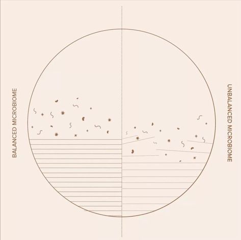 The skin microbiome is like an invisible layer of natural bacteria on your body responsible for keeping your skin healthy and happy. When it's thrown out of balance it can disrupt your skin barrier, leading to irritation, redness and a lucklustre glow. Sound familiar? Before you pick up your topicals, try some inner beauty health or incorporating the probiotic skin refiner by @thebeautychef ...grab yours in salon today, your skin will thank you for it. x Skin Microbiome, Healthy And Happy, Skin Barrier, Inner Beauty, Probiotics, Beauty Health, Healthy Skin, Facial, Pick Up