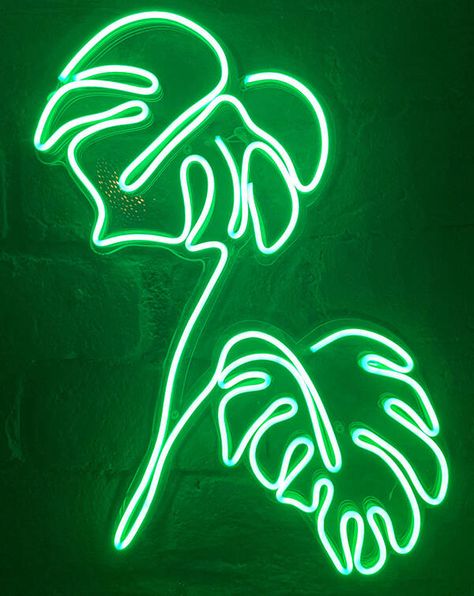 Evergreen Content, Neon Wall Art, Iphone11 Pro, Neon Decor, Leaf Images, Rope Lights, Neon Design, Green Led, Monstera Plant