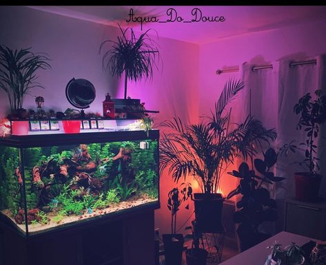 Room With Fish Tank, Fish Tank In Room Aesthetic, Neon Fish Tank Ideas, Fish Tank Aesthetic Bedroom, Aesthetic Room With Fish Tank, Neon Fish Tank, Neon Fish, Fish Tank Led Lights, Grunge Room