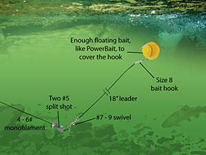 a diagram of a floating bait rig for fishing Lake Trout Fishing, Fishing Basics, Rainbow Trout Fishing, How To Fish, Trout Fishing Tips, Fishing Waders, Fishing Rigs, Fishing Techniques, Fishing Supplies