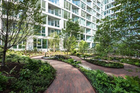 Courtyard Landscaping, Commercial And Office Architecture, Courtyard Design, Bjarke Ingels, Landscape Architecture Design, Classical Architecture, West Side, Outdoor Landscaping, Architecture Plan